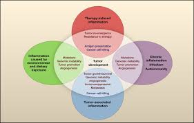 Cell division is a normal process used by the body for growth and repair. Immunity Inflammation And Cancer Cell