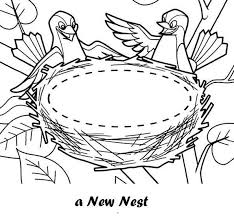 Sure, we keep them as pets. Bird And New Nest Coloring Sheet Coloring Pages Shark Coloring Pages Animal Coloring Pages