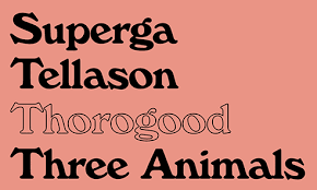 Typewolf Com Great Font Examples Aesthetic Fonts Retro Font Font Examples