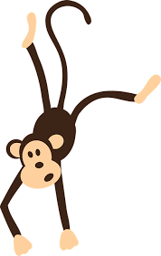Image result for monkey picture cartoon