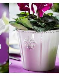 Poshmark makes shopping fun, affordable & easy! 18 Debi Lily Ideas Lily Lillies Lilly Flower