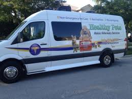 Does fluffy get upset every time she's unceremoniously stuffed into a carrier and forced to ride in the car? Healthy Pets Mobile Veterinary Services Medical North Tampa Tampa