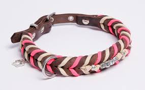 the bavarian halsbandshop paracord meets leder halsband hundehalsband halsband hund
