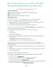 Cellular respiration is how cells take the energy in food and make it into atp, the cell's moment to moment energy source. Section 9 1 Pdf Name Brianajean Francois Class Ef Date 10129119 9 1 Cellular Respiration An Overview Handwrite Your Answers Be Ow Lesson Object Es Course Hero