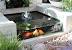 Modern Koi Pond Ideas