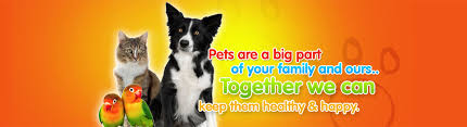 The southside pet hospital team of skilled veterinarians welcomes you to our practice. Southside Veterinary Clinic