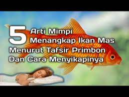 5 Arti Mimpi Menangkap Ikan Mas Menurut Primbon Cara Menyikapinya Youtube