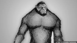 Bigfoot Erotica Becomes A Campaign Issue In The Virginia Congressional Race Wjla My boss called him a total. bigfoot erotica becomes a campaign