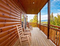 Interested in last minute deals on your cabin in the smoky mountains? Save 25 Last Minute Holiday Deals Bear Tracts
