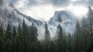 Yosemite 5k Wallpapers Forest Osx Apple Mountains Mountain Wallpaper Os Wallpaper Nature Wallpaper