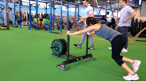 Funniest workout videos from planet fitness, featuring people who don't know how to use workout machines (despite the instructions printed on the equipment). About Us Foley S Fitness Center