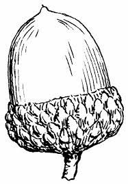 Dessin nature noir et blanc. Epingle Par Heather Feltman Sur L Automne Coloriage Automne Coloriage Noel Glands Chene