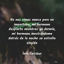 Sé que puedo contar con mi madre y mi hermano para que estén allí para mí en los buenos y malos momentos. bindi irwin. Frases Para Un Hermano Fallecido Literato