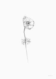 Anemone Flower Tattoo Black And White Printables Anemone Anemone Flower Flower Drawing Anemone Tattoo