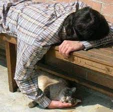 Funny Cat 50 Pictures Funnyfoto Kittens Funny Funny Animals Funny Cat Pictures