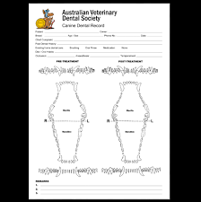 veterinary dental charting for dummies blog post