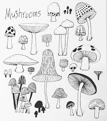 Day 1 Poisonous Mushroom Drawing Doodle Drawings Doodle Art