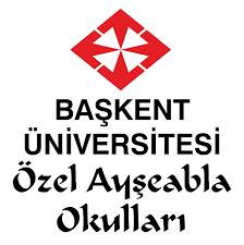 Ayşe Abla Okulları