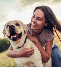 Pet check urgent care is available for your pet when those unexpected injuries or illnesses occur. Tudor Glen Veterinary Hospital Animal Clinic In St Albert Alberta For Dog Cat And Small Pet Medical Treatment