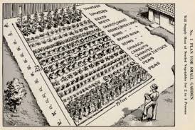 Good housekeeping's gardening advice can help you plan the perfect garden for every budget and plot size. Victory Gardening Then Now Family Food Garden