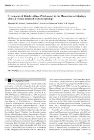 Image result for Dombeya shupangae