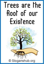 I love driving long distances!!! 57 Great Tree Plantation Slogans And Sayings