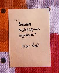Tezer Ozlu Kitap Kenari Kitap Alintilari Guzel Soz