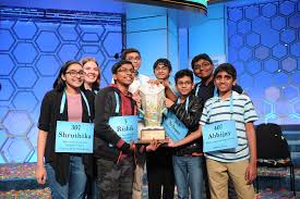 Image result for Sorindeia winkleri