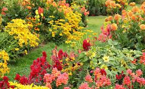 If none of the parties had not been living in sri lanka within 10 days preceding submission of the marriage notice, residence of one party for 4 days in sri. Know About Blooming Seasons Of Popular Flowers Seasonal Flowers