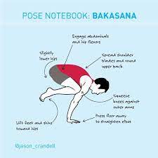 Bakasana ( crane pose ), and the similar kakasana ( crow pose) are balancing asanas in hatha yoga and modern yoga as exercise. Bakasana Yoga Pose Crow Pose Crane Pose Jason Crandell Yoga Method