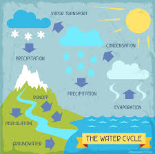 Illustration Showing How Water Changes State Through The Cycle It Can Be A Liquid Vapour Or A Solid Water Cycle Water Cycle Poster Water Cycle Worksheet