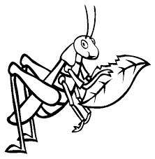 Grasshopper Coloring Page Animals Town Free Grasshopper Color Sheet