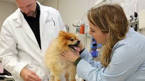 Maybe you would like to learn more about one of these? Giving University Of Wisconsin School Of Veterinary Medicine