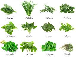 Nos ayudan a evocar los sabores de antes y a descubrir otros nuevos, además de ofrecer un sinfín de. Plantas Aromaticas En La Cocina Deulonder Com
