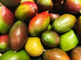 All you've got to do? Functional Fiber From Upcycled Mango Seeds Makes Processed Food Healthier Says Mexico S Genius Foods