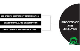 Pin On Human Resource