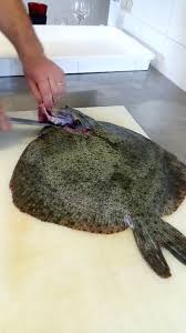 Armatevi di guanti di lattice e candeggina e seguite i nostri consigli, avrete sanitari come nuovi, e una. Come Filettare Un Pesce Piatto Steelinkitchen