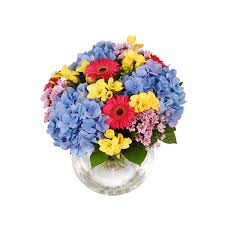 Grazie per la vostra pazienza! Bouquet Mix Ortensie E Gerbere Floranixena Consegna Fiori A Casa