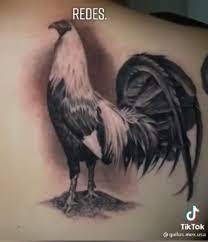 Imagenes de tatuajes de gallos