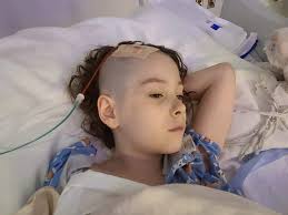 Fundraiser for Tracy Olmstead by Sharlie Davis : Please consider helping  the family of Riley