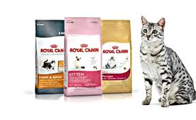 Anda ingin memelihara kucing anggora? 8 Makanan Kucing Anggora Yang Bagus No 6 Buatan Sendiri Hobinatang
