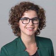 dcomanschmid (Diana Coman Schmid) · GitHub