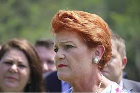 No thanks, take me back to the meme zone! Politicians On 200 000 Salary Mistakenly Vote For A Racist Meme