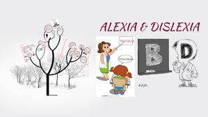 Dyslexia is a learning disorder that involves difficulty reading due to problems identifying speech sounds and learning how they relate to letters and words (decoding). Alexia Y Dislexia By Xiomara Murcia On Prezi Next