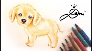 Pin Von Deni Zeichnet Auf Hund Zeichnen Lernen Hund Zeichnen Hundezeichnung Hund Malen