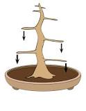The 1-2-3 branching rule is one of the most important ...