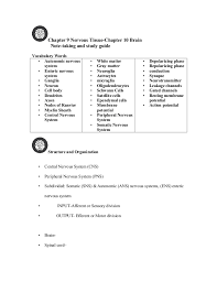 Chapter 9 10 Nervous Tissue And Brain Note Taking Guide