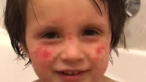 Here are just some of the local GoFundMe campaigns that the Bundaberg  community can support this Christmas