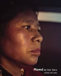 📽 🌌 Dans 𝙇𝙖 𝙣𝙪𝙞𝙩 𝙙𝙚𝙨 𝙘𝙝𝙪𝙩𝙚𝙨, un historien au don de  voyance erre dans les rues de l'ancienne Ville-Lumière. Il entrevoit, dans  les chutes de Shawinigan, une méditation sur l'Histoire humaine