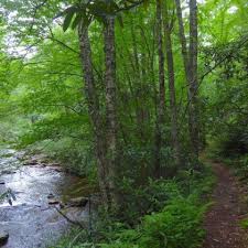 Check spelling or type a new query. Otter Creek Wilderness Elkins Randolph County Tourism